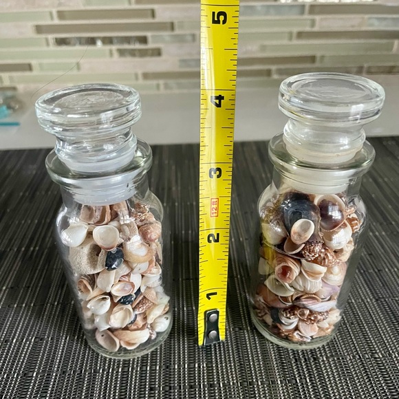 Decorative small sea shells in glass bottles - Picture 4 of 4